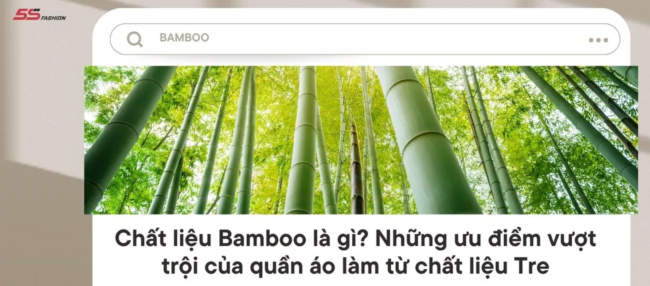bamboo (1)